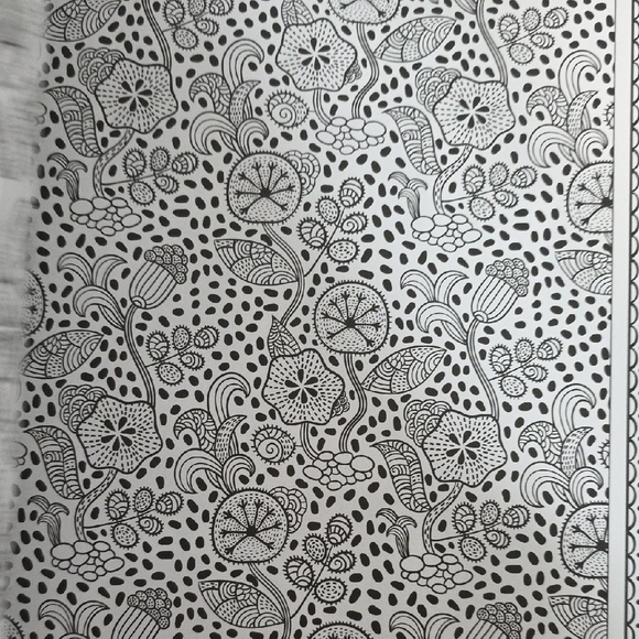 Set of Two Adult Coloring Books - The Menagerie and Magic Garden - Picture 9 of 16